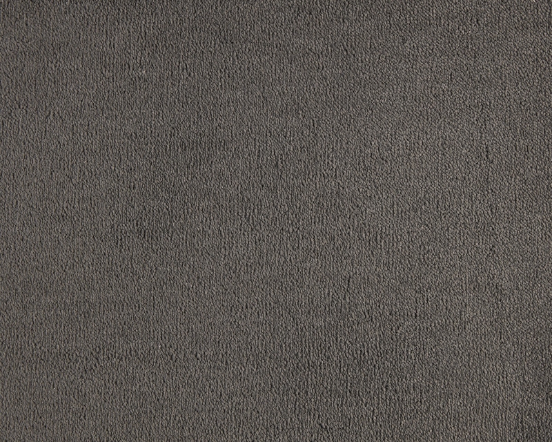 Celeste - 810 Astrakan